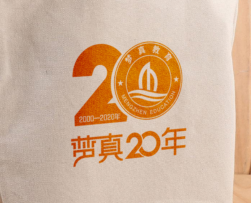 梦真教育集团20年logo