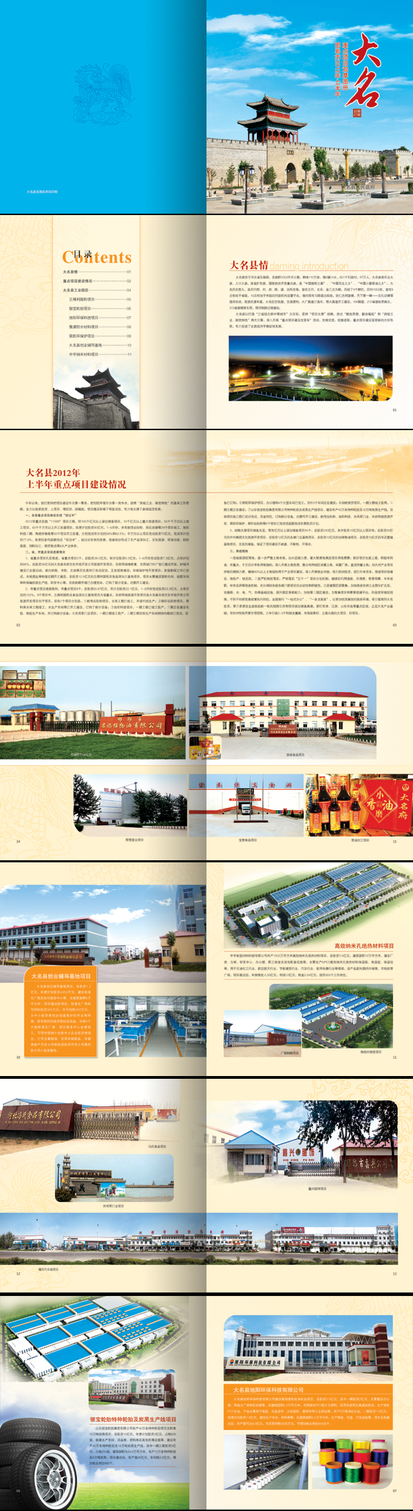 大名县发改局画册.jpg
