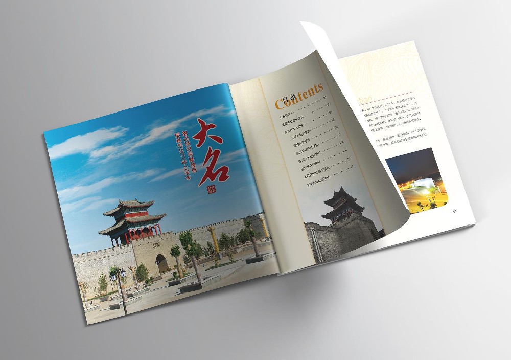 大名县发改局重点项目画册